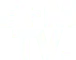 Greenkub cité dans BFM TV