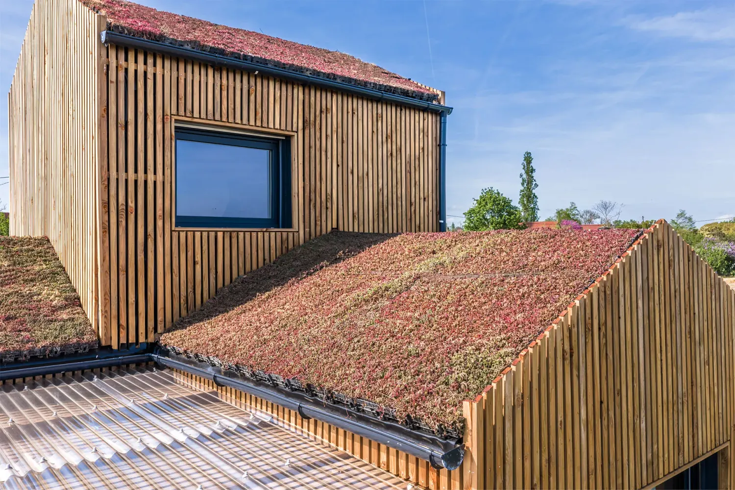 Maison bois Greenkub GK50 · façade bardage douglas vertical, toits végétalisés, plots métalliques, Allier
