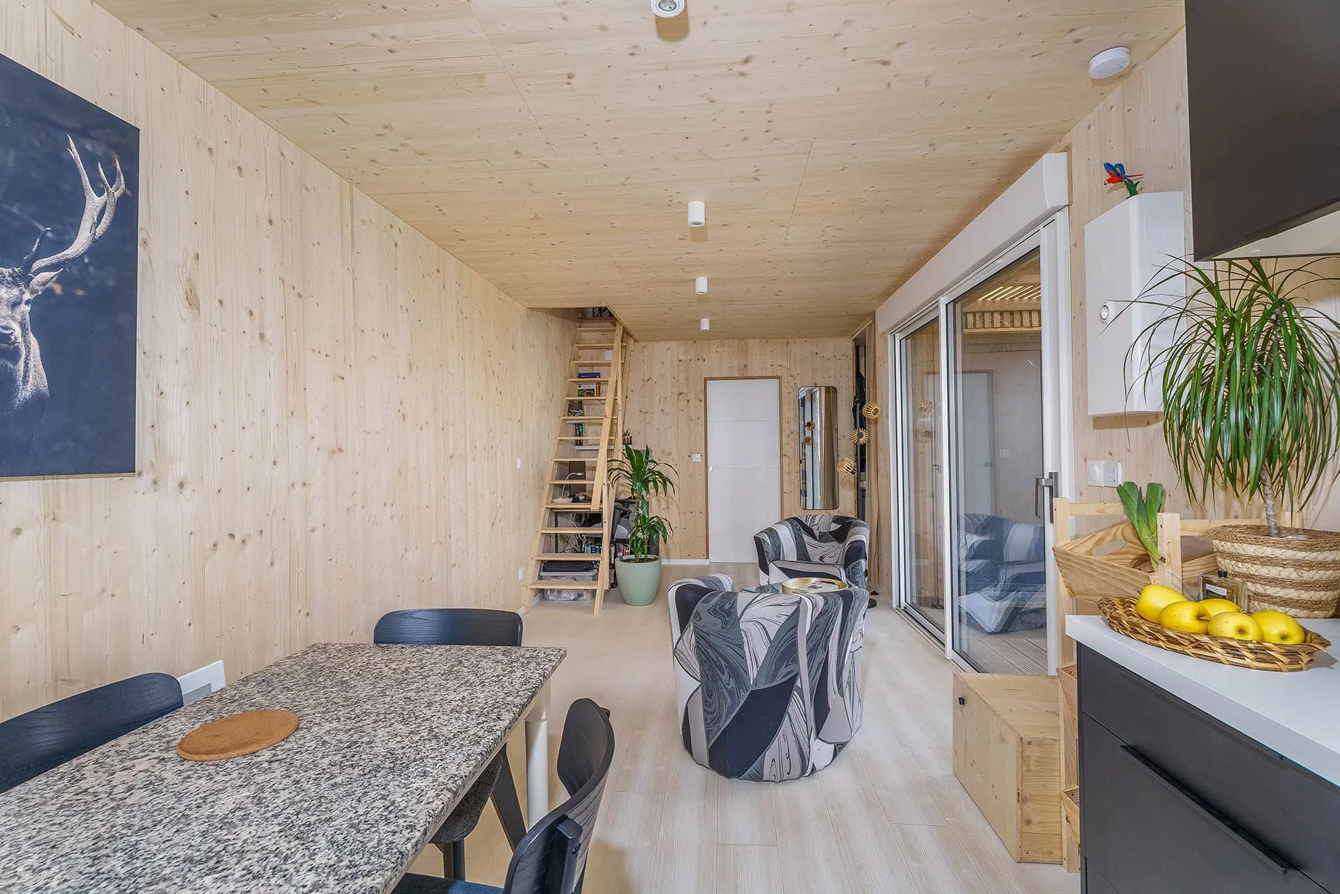 Intérieur maison 50m² avec mezzanine · murs bois massif, escalier en bois clair, lumière naturelle
