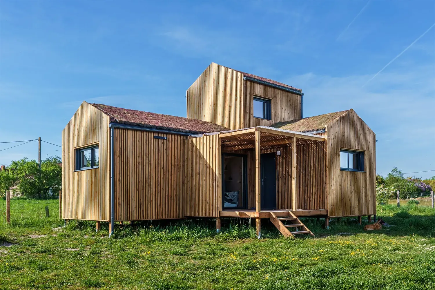 Façade principale d’une maison bois Greenkub GK50 · bardage bois vertical, toiture végétalisée multi-volumes, terrasse couverte avec pergola, structure sur plots métalliques