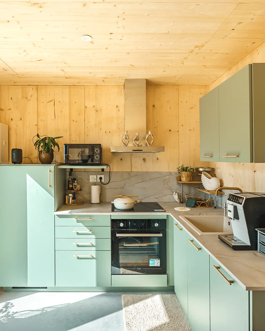 Local professionnel de 50 m², studio en ossature bois Greenkub (Hérault)