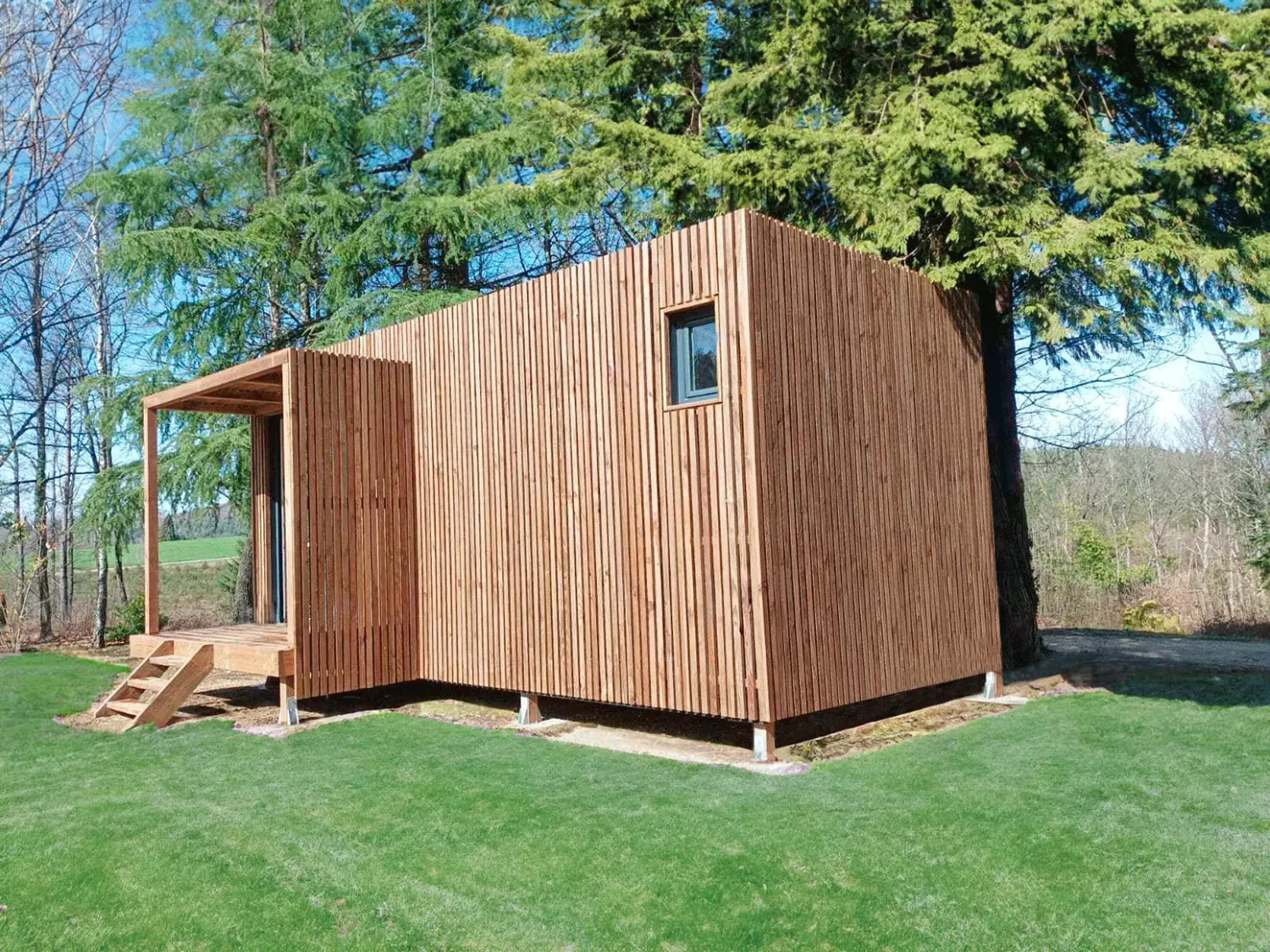 Studio de jardin en dessous d’un sapin
