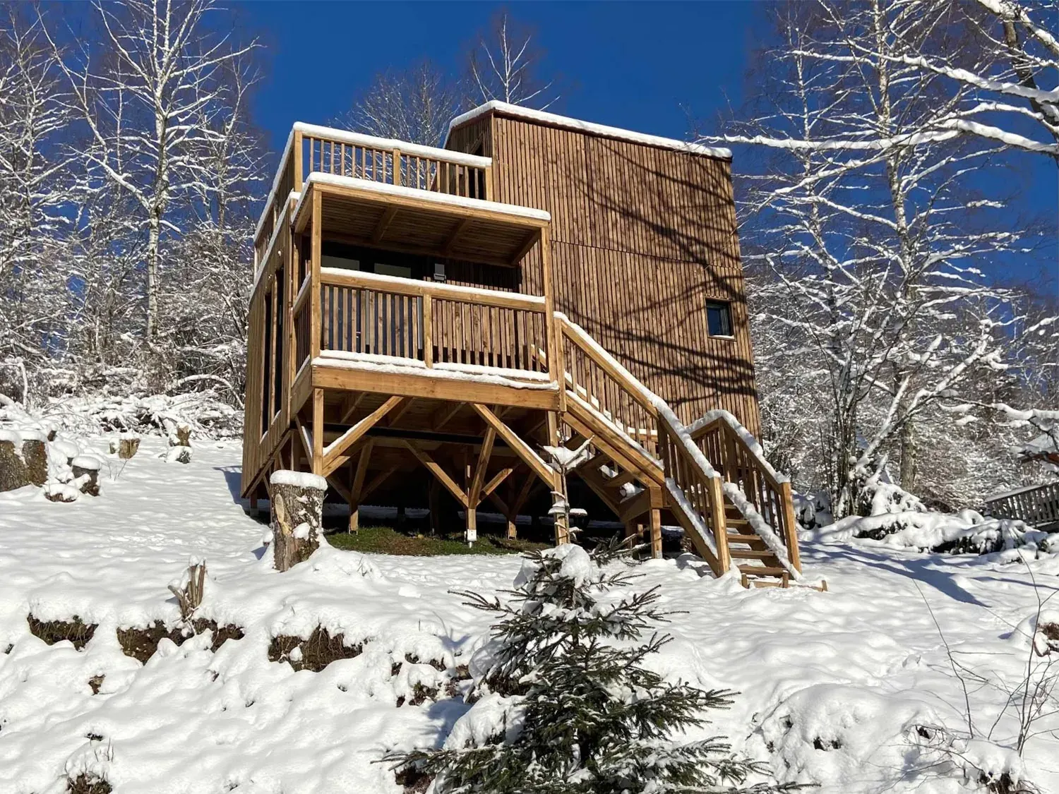 Studio de jardin de 30m2 dans le 88