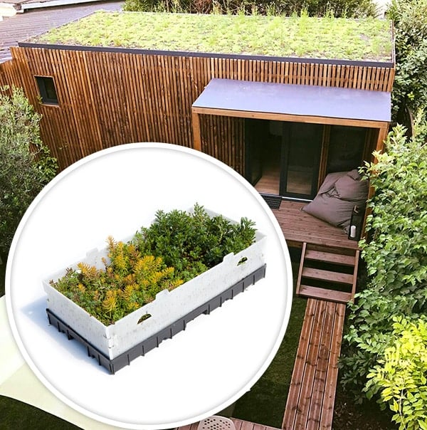 Extension de maison avec toiture végétalisée